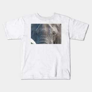 Elephant Close-up/Portrait - Kruger National Park Kids T-Shirt